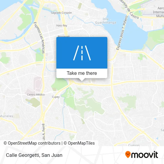 Mapa de Calle Georgetti