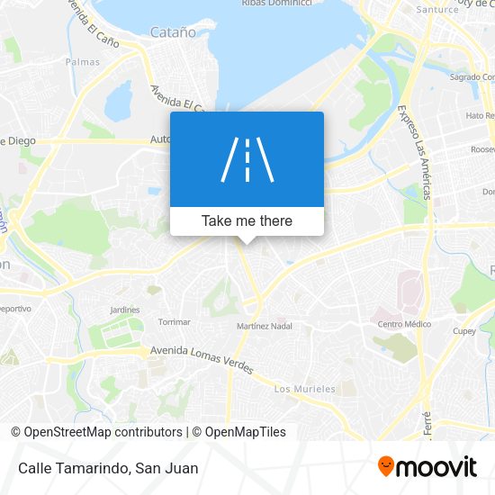 Mapa de Calle Tamarindo
