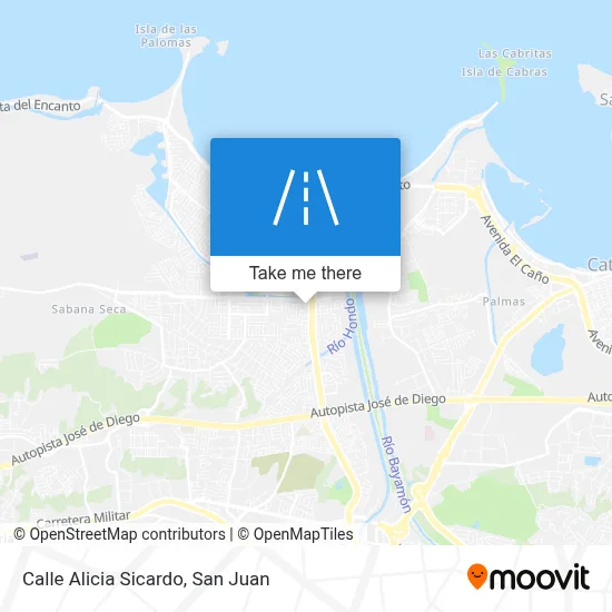 Calle Alicia Sicardo map