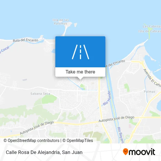 Mapa de Calle Rosa De Alejandria