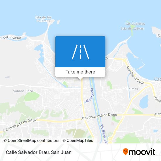 Mapa de Calle Salvador Brau