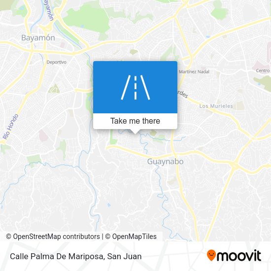 Mapa de Calle Palma De Mariposa