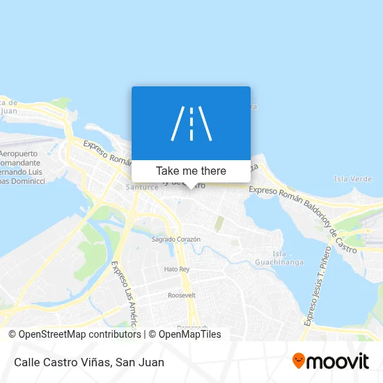 Mapa de Calle Castro Viñas