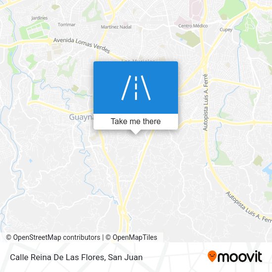 Calle Reina De Las Flores map