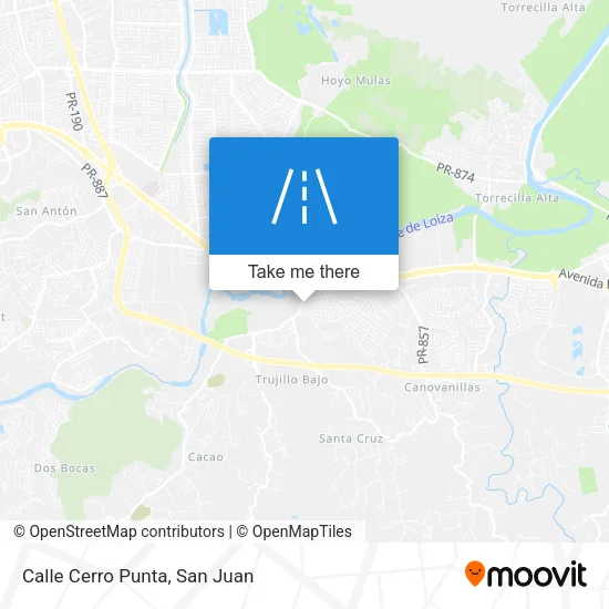 Calle Cerro Punta map