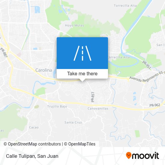 Mapa de Calle Tulipan