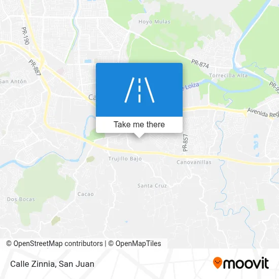 Mapa de Calle Zinnia