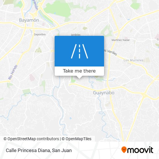 Calle Princesa Diana map