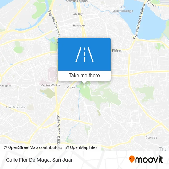 Calle Flor De Maga map
