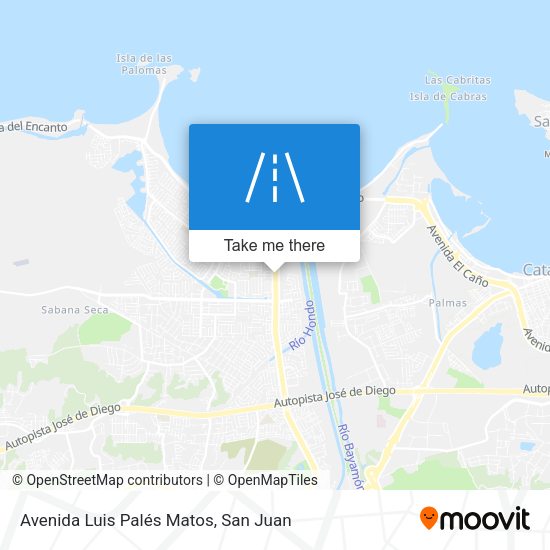 Mapa de Avenida Luis Palés Matos
