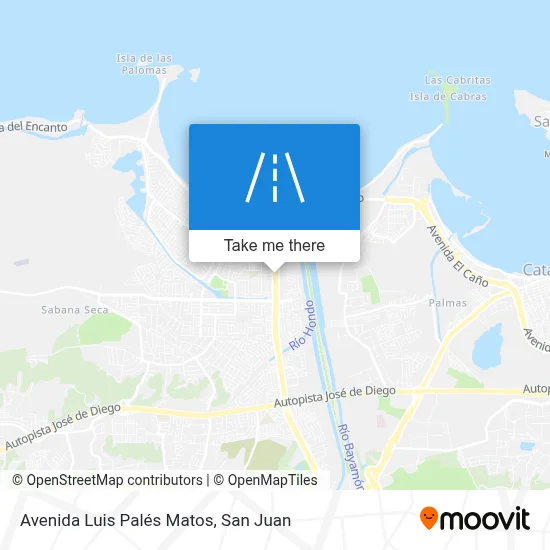 Mapa de Avenida Luis Palés Matos