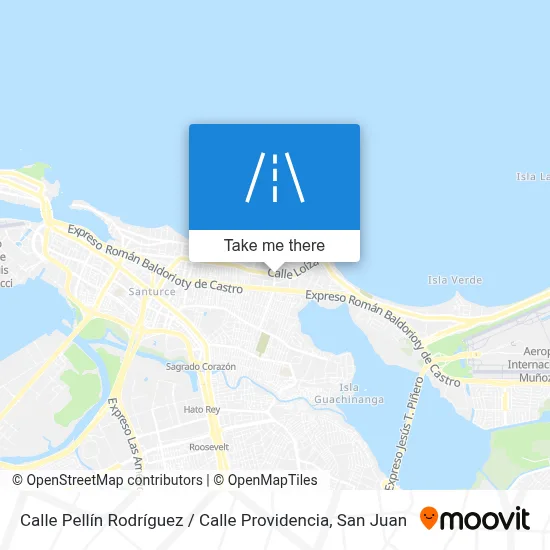 Calle Pellín Rodríguez / Calle Providencia map