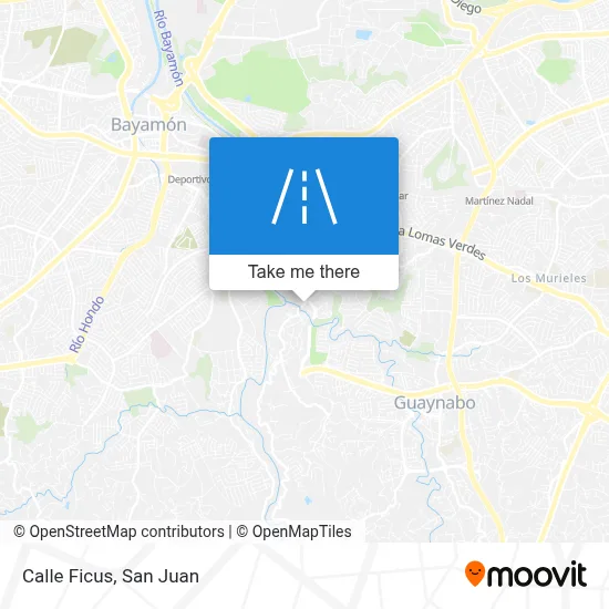 Calle Ficus map