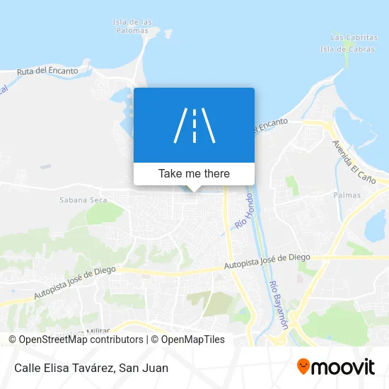 Mapa de Calle Elisa Tavárez