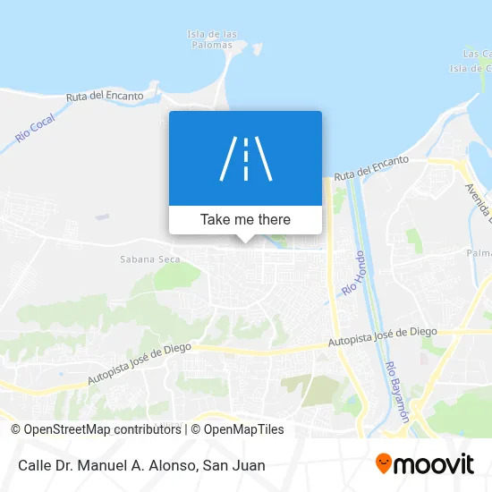Calle Dr. Manuel A. Alonso map