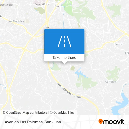 Avenida Las Palomas map