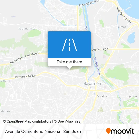 Mapa de Avenida Cementerio Nacional