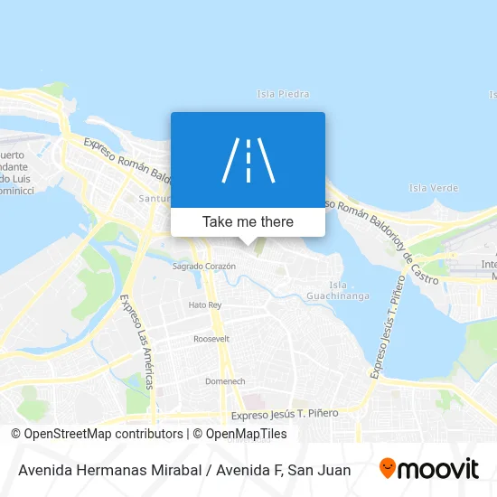 Avenida Hermanas Mirabal / Avenida F map