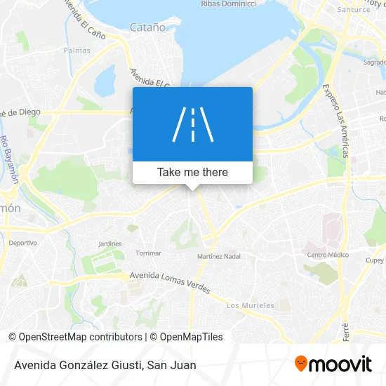 Avenida González Giusti map