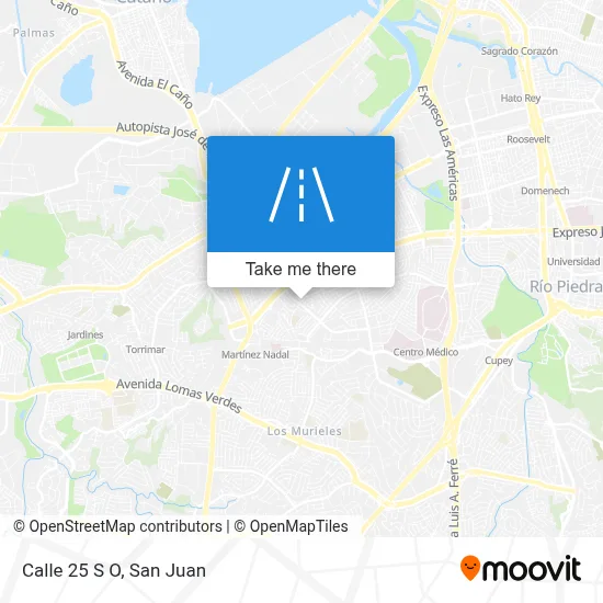 Calle 25 S O map