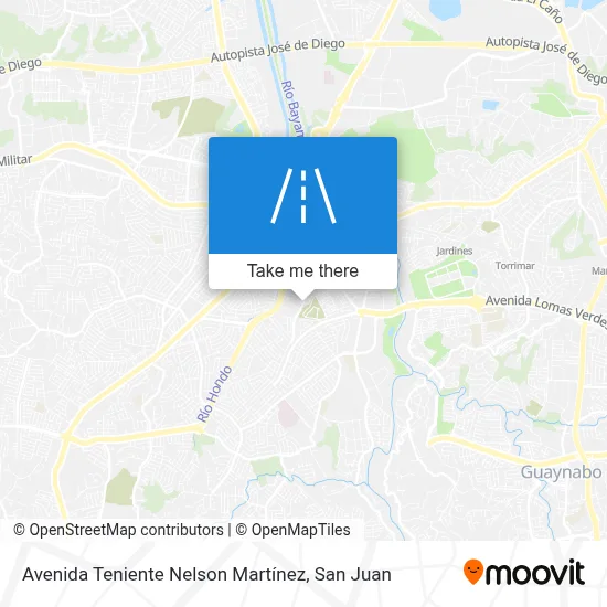 Avenida Teniente Nelson Martínez map