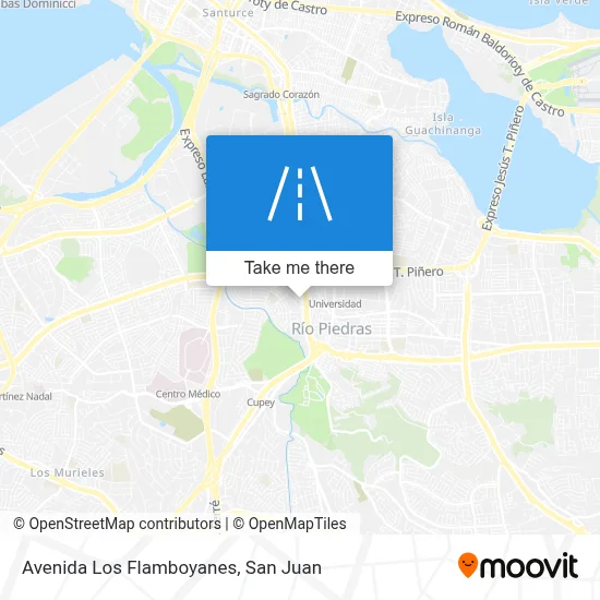 Avenida Los Flamboyanes map