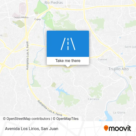 Mapa de Avenida Los Lirios