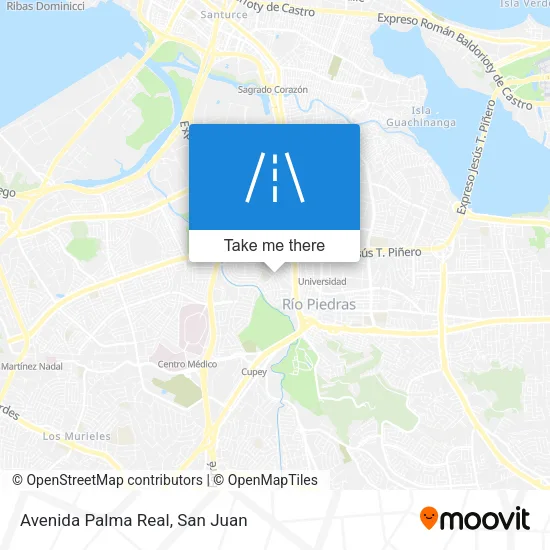 Avenida Palma Real map