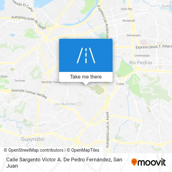 Mapa de Calle Sargento Víctor A. De Pedro Fernández