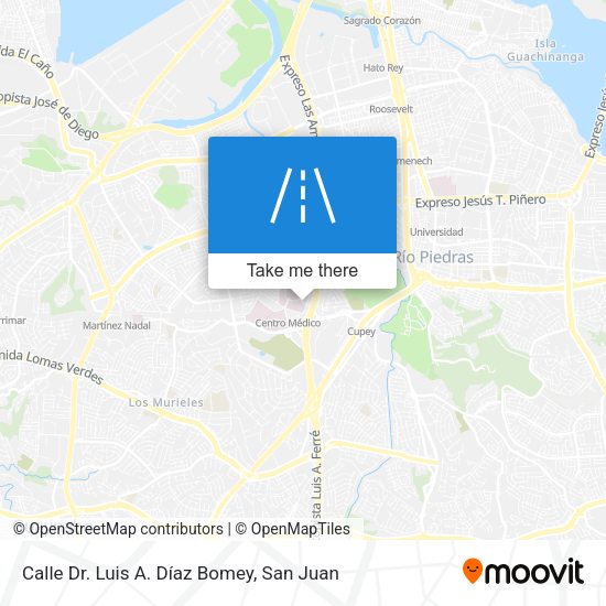 Calle Dr. Luis A. Díaz Bomey map