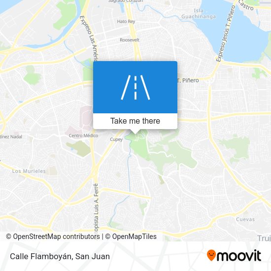 Calle Flamboyán map
