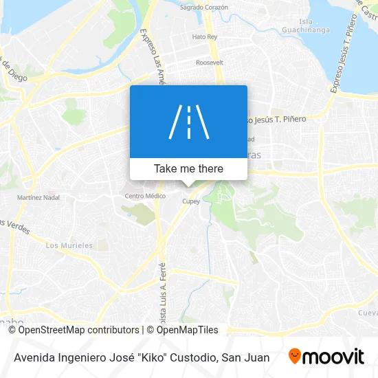 Avenida Ingeniero José "Kiko" Custodio map