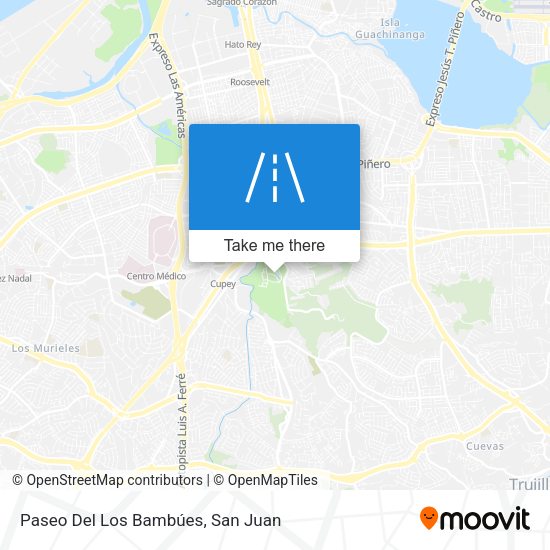 Paseo Del Los Bambúes map
