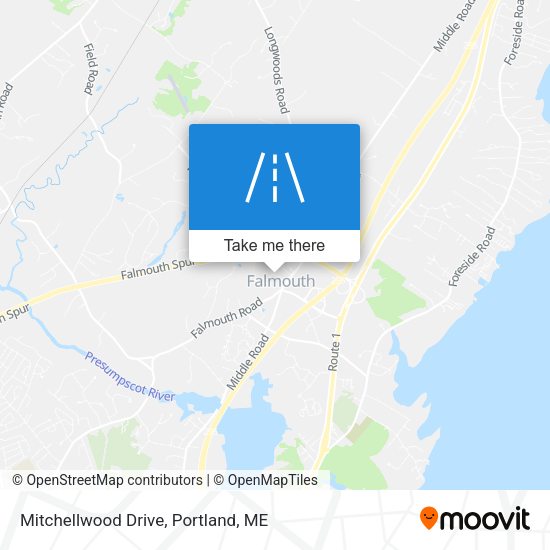 Mapa de Mitchellwood Drive