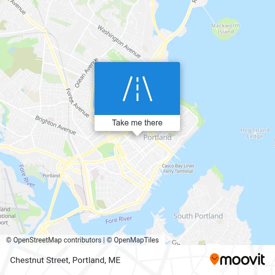 Chestnut Street map