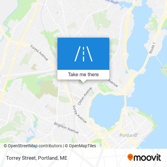 Torrey Street map