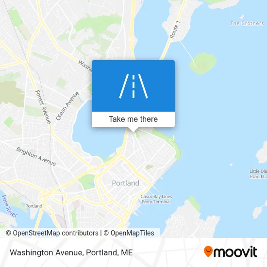 Washington Avenue map