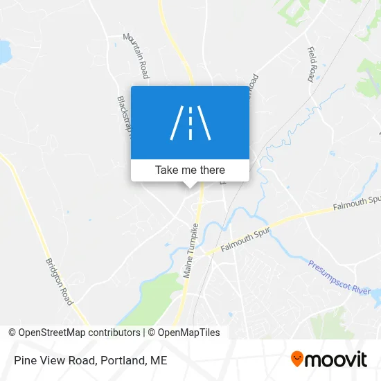 Pine View Road map