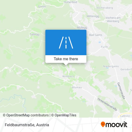 Feldbaumstraße map