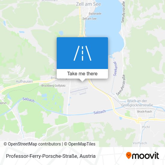 Professor-Ferry-Porsche-Straße map