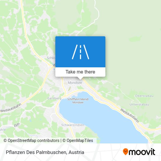 Pflanzen Des Palmbuschen map