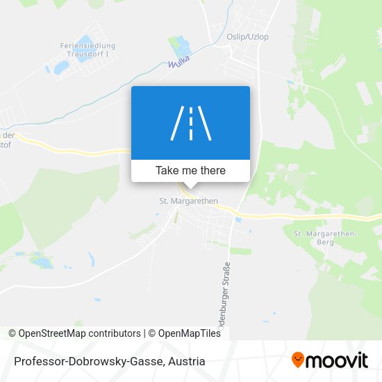 Professor-Dobrowsky-Gasse map