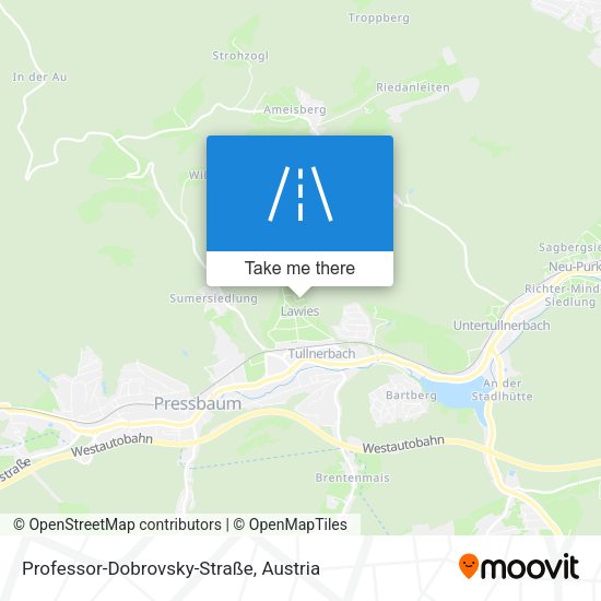 Professor-Dobrovsky-Straße map