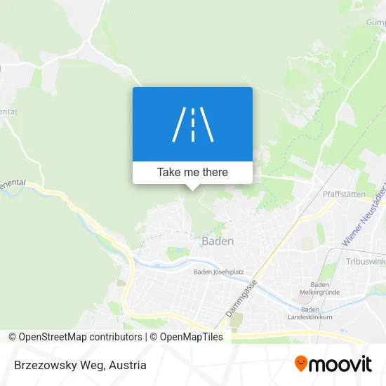 Brzezowsky Weg map
