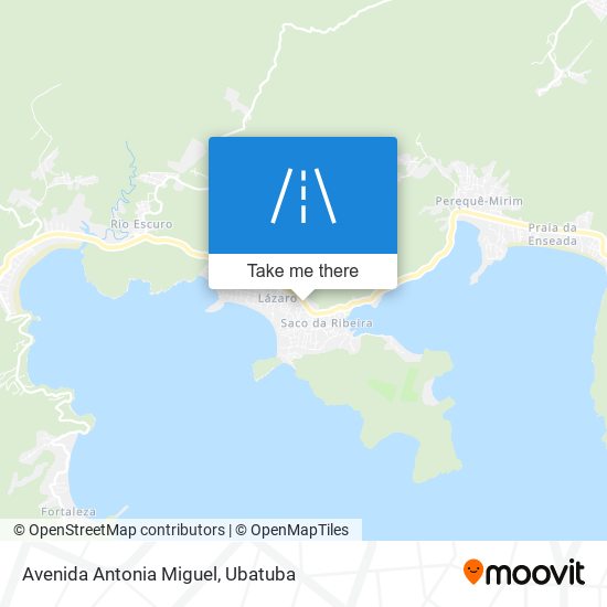 Mapa Avenida Antonia Miguel