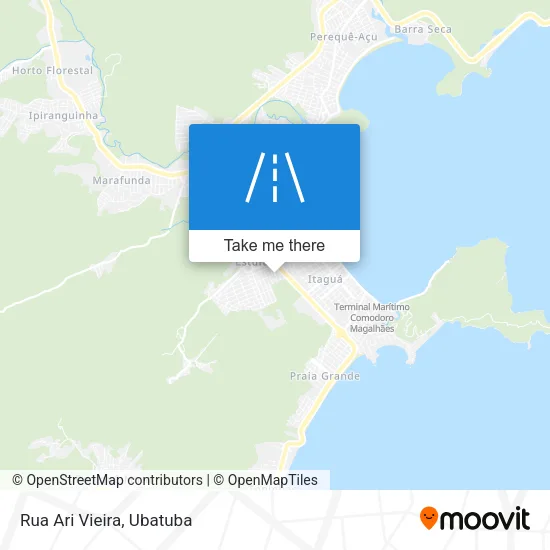 Rua Ari Vieira map