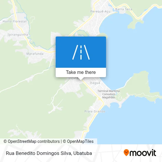 Rua Benedito Domingos Silva map