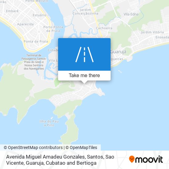 Mapa Avenida Miguel Amadeu Gonzales