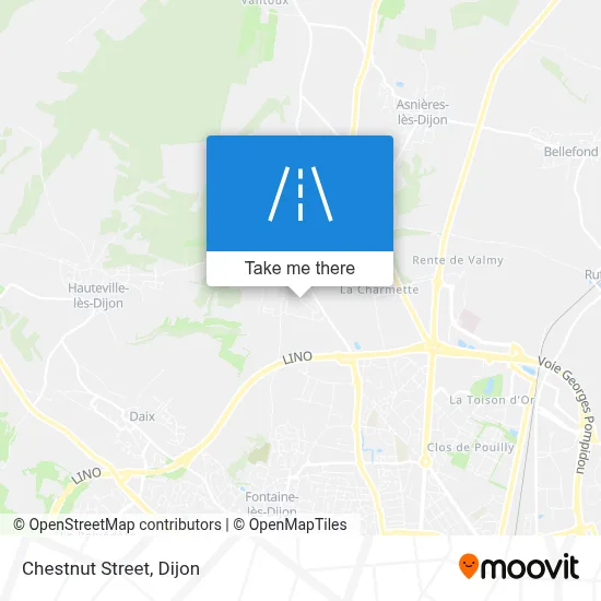 Rue Des Marronniers map