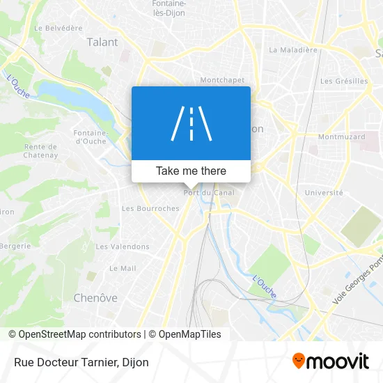 Rue Docteur Tarnier map